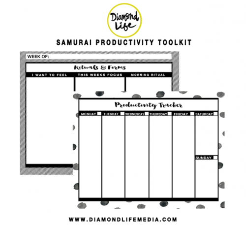 Diamond life media- Samurai Productivity toolkit