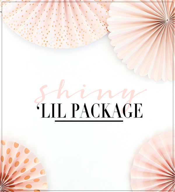 DLM-WEBSITE-SHINY-LIL-PACKAGE